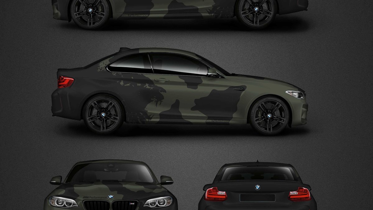 BMW M2 - Lion Camouflage design - img 1