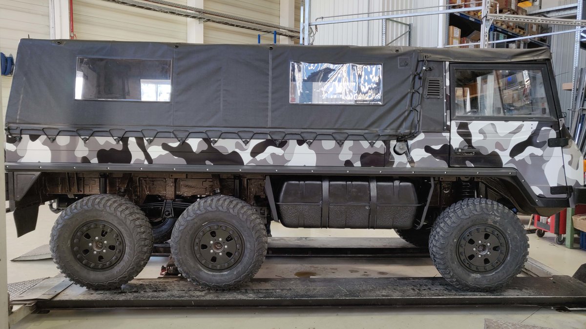 Pinzgauer - Camo design - cover