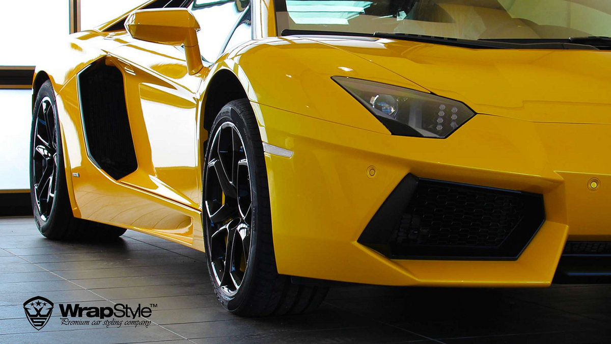 Lamborghini Aventador - Paint Protection - img 2