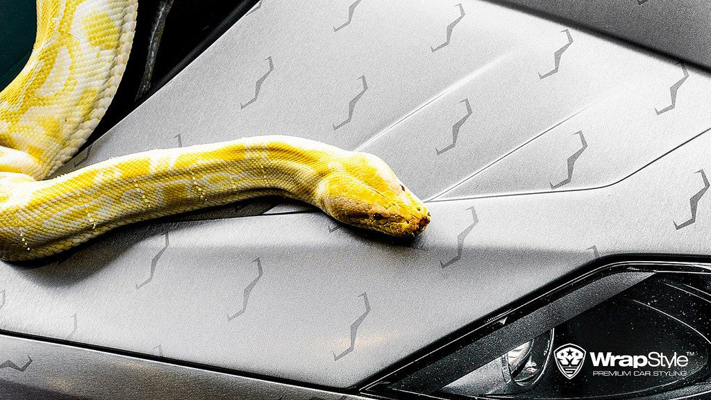 Lamborghini - Brushed Titanium wrap - img 2