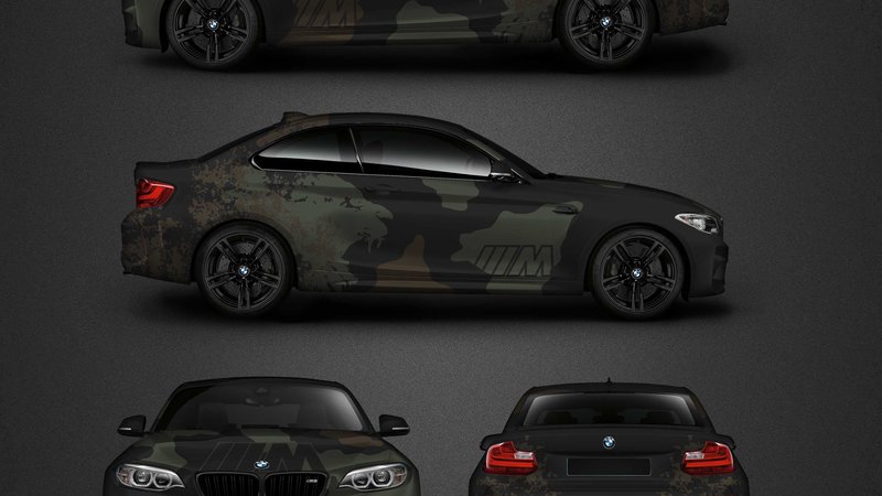 BMW M2 - Lion Camouflage design - cover small