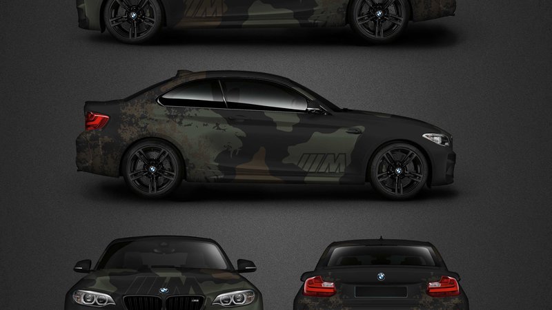 BMW M2 - Lion Camouflage design